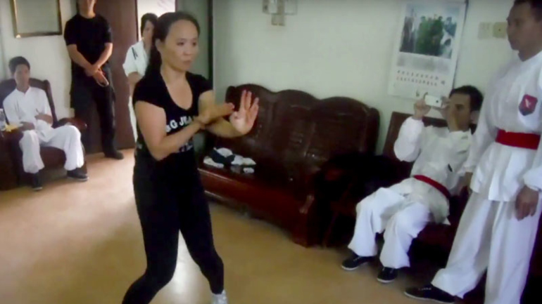 Wing Chun meets White Crane Kung Fu