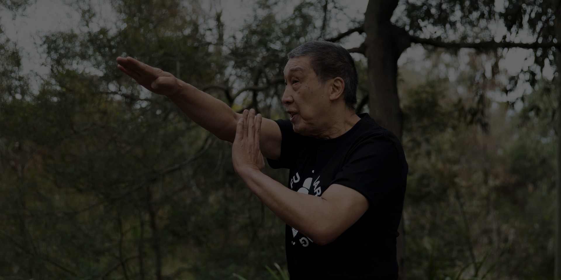 Barry Pang demonstrates Wing Chun technique